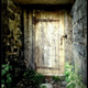 Image for article titled Shooting Challenge: Cellphone Gallery Part 8